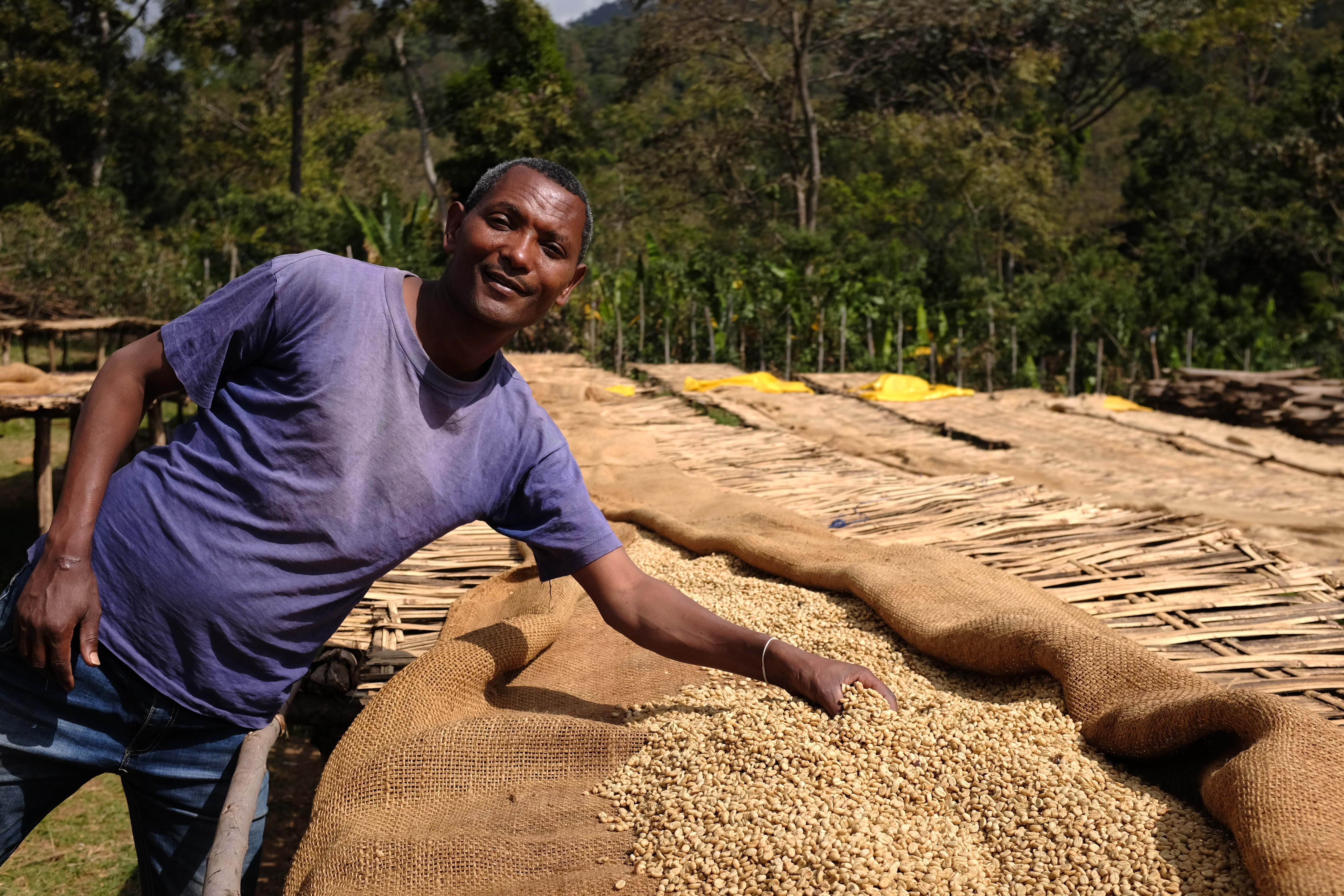 Yasu, manager of Reko Koba mill in Kochere, Ethiopia, proudly displays his experimental honey processed lot as it dries on the tables.